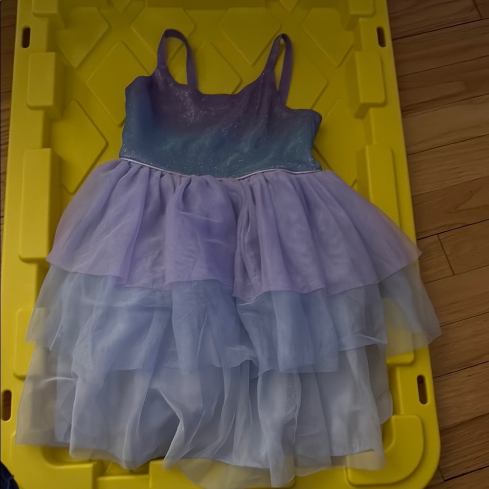 Kids Purple and Blue Costume Dress